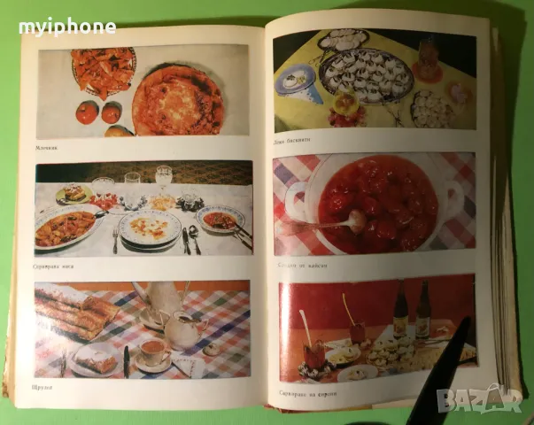 Стара Книга Вегитарианство и Суровоядство Александър Белоречев, снимка 13 - Художествена литература - 49203969