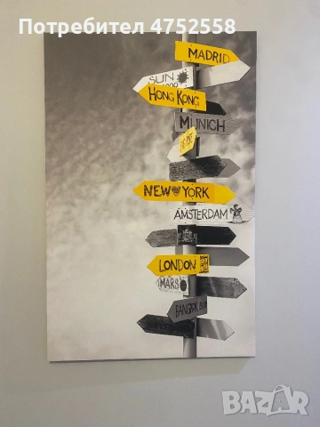 Снимка платно канава върху дървена рамка. Различни видове. Размери 85/55 см, снимка 2 - Декорация за дома - 53674532