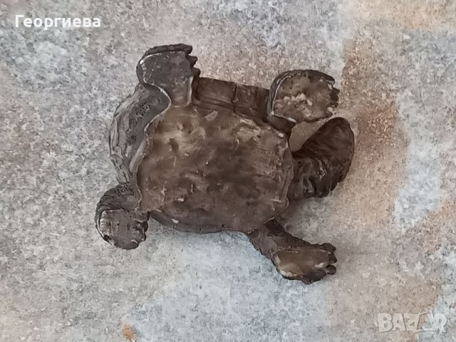 Декоративна костенурка, снимка 4 - Декорация за дома - 41836469