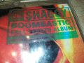 SHAGGY-АУДИОКАСЕТА 2409211722, снимка 4