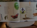 Продавам книгата ; Животните: Триизмерна енциклопедия с 3D илюстрации ., снимка 2