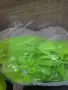 Дамски спортни обувки,нови, снимка 1