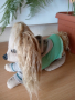 Куче Кокер Шпаньол с пуловер, снимка 7