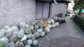 Продавам Бели тикви, снимка 4