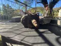 Скоростна кутия за уаз 452, снимка 2