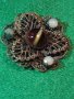СТАРИННА БРОНЗОВА ФИЛИГРАННА БРОШКА с ЯСПИС и ПЕРЛИЧКИ АРТ ДЕКО 1921, снимка 14