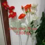 цветя за декорация и украса , снимка 14