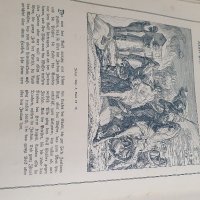 Прекрасна антикварна немска картинна библия , снимка 9 - Антикварни и старинни предмети - 39105262