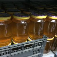 Пчелен мед от производител, снимка 4 - За пчели - 42183636