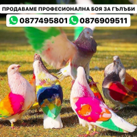 Професионална Боя за Гълъби, снимка 1 - Гълъби - 44698448