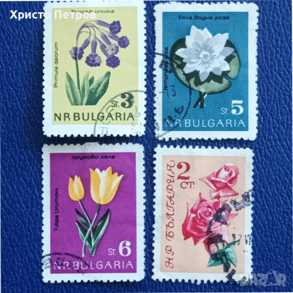 БЪЛГАРИЯ 1960-ТЕ - ФЛОРА, ЦВЕТЯ, снимка 1