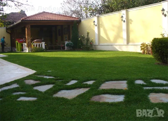 Почистване и косене на дворове – Бързо, качествено и на достъпни цени!, снимка 1