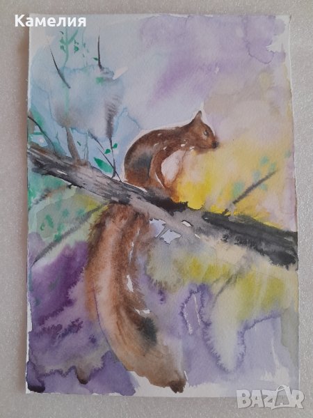 Картина "Катерица", снимка 1