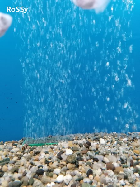 Водна стена за аквариум , снимка 1