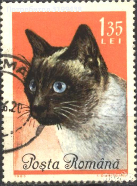 Клеймована марка Фауна Котка 1965 от Румъния, снимка 1