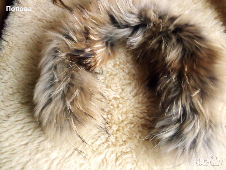 Каскадна лисица / яка/, снимка 1