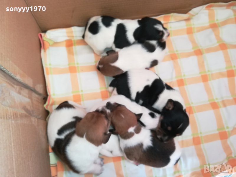 ДЖАКЧЕ СЛАДКО БОНБОНЧЕ 0303221618, снимка 1