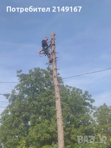 Рязане почистване извозване , снимка 3 - Други услуги - 53743500