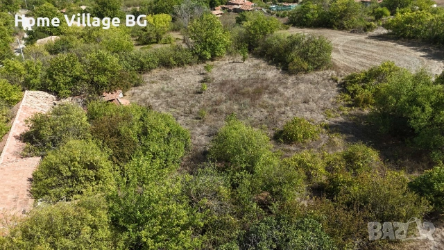 Голям имот в село Овчага, област Варна, снимка 7 - Къщи - 53242664