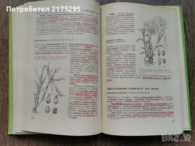 Карантина на растенията-Земиздат 1974г., снимка 14 - Учебници, учебни тетрадки - 56225071