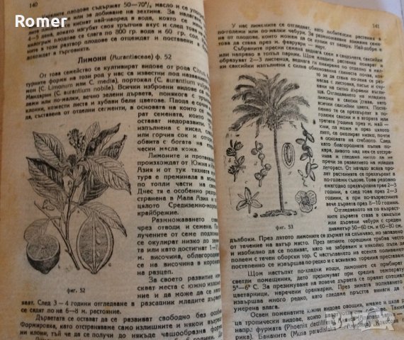 Практическо ръководство по овощарство Стрибърни Основи на парниковото и оранжерийното зеленчукопроиз, снимка 4 - Антикварни и старинни предмети - 34632955