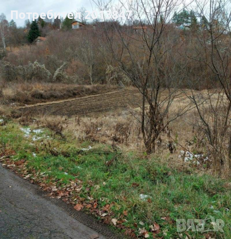 Продавам дворно място.с.яблотино.обл.драгоман, снимка 2 - Парцели - 36264615