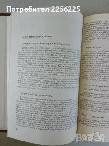 Ръководство за практически упражнения по хистология и ембриология на човека, снимка 3 - Специализирана литература - 47492150