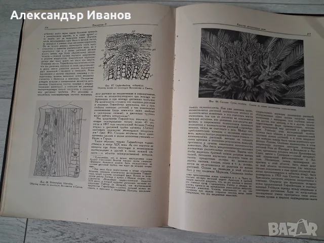 Стара книга К.Тимирязев "Жизнь растения" 1949 г. , снимка 5 - Специализирана литература - 55855821