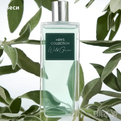 Тоалетна вода Men's Collection Wild Green, снимка 3 - Мъжки парфюми - 51962707