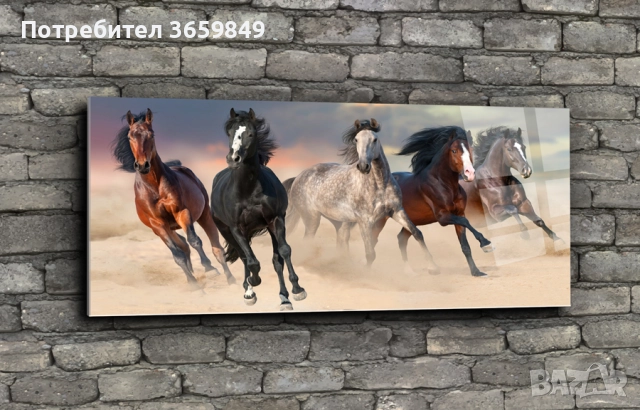 Картини от принт стъкло, снимка 10 - Картини - 52668805