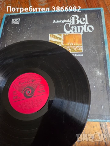 (Balkan Ton) 5 Стари Грамофонни Плочи:(Analogia de Belcanto), снимка 13 - Грамофонни плочи - 51136837
