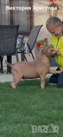 Були покет, снимка 2 - Други - 52839074