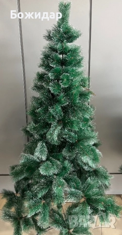 Снежно зелени коледни елхи