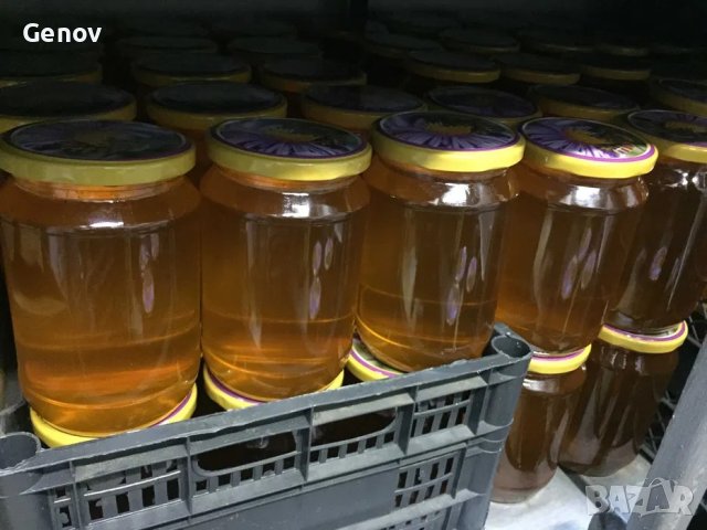 Пчелен мед от производител, снимка 4 - За пчели - 42183636