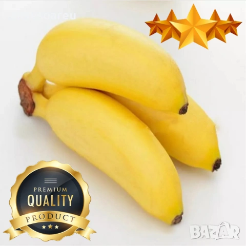 50 бр. Семена от Бонсай бананово дърво екзотични редки плодове палма за декорация на градината, снимка 3 - Сортови семена и луковици - 53258880