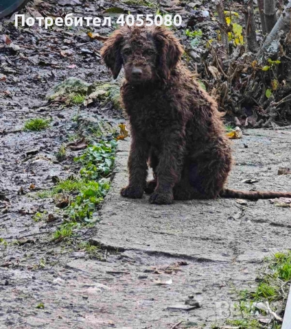 Лагото Романьоло , снимка 3 - Други - 52819134