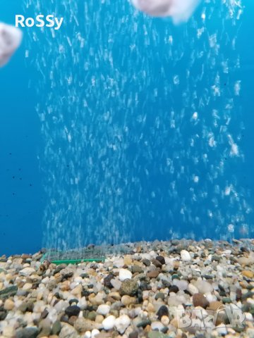 Водна стена за аквариум , снимка 1