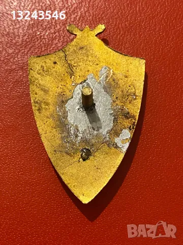 Български царски нагръден знак гимнастическо дружество Юнак, снимка 2 - Други ценни предмети - 49399383