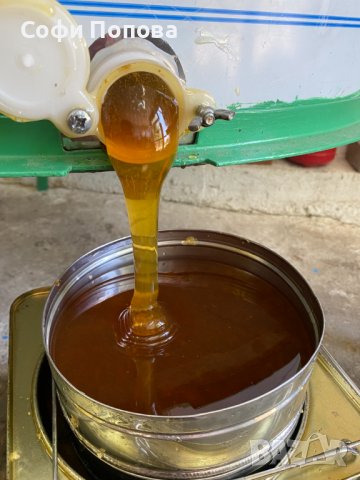 НАТУРАЛЕН ПЧЕЛЕН МЕД, снимка 5 - Пчелни продукти - 34856715
