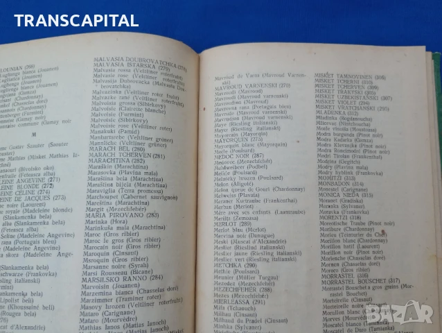 Каталог на сортовите лози в България , снимка 6 - Други ценни предмети - 51338292
