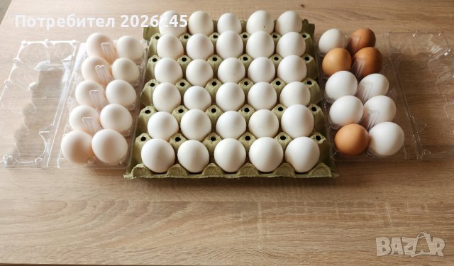 Домашни Бели и Кафяви Яйца, снимка 1