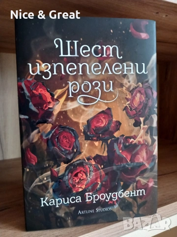 Унищожителят на меча и други , снимка 6 - Художествена литература - 50530266