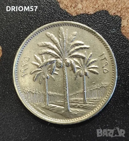 Монета Ирак 50 филса, 1975, снимка 2 - Нумизматика и бонистика - 48571055