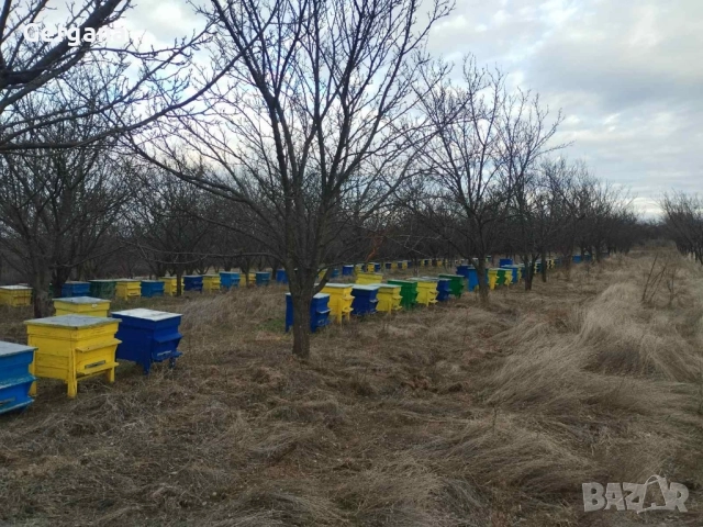 Празни сандъци 