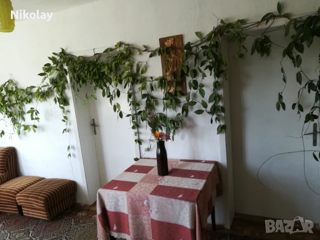 Масивна двуетажна къща с гараж в гр. Шивачево, снимка 6 - Къщи - 50795441