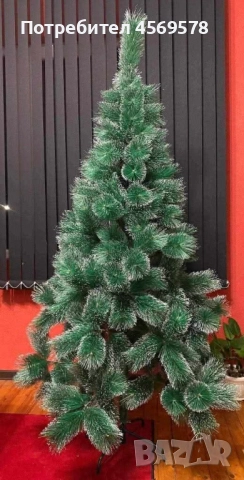 🚨 **ПОСЛЕДНИ БРОЙКИ!** 🎄 Коледна елха със заскрежени връхчета – размери и цени:  • 60 см – 19 лв.