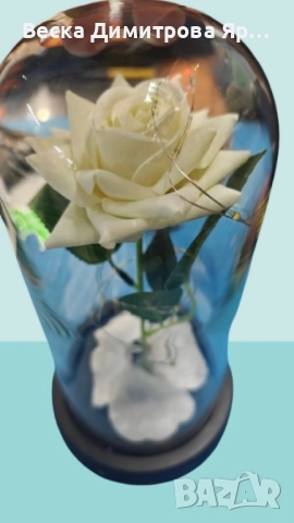 Бяла роза под стъклен купол - Вечна елегантност, снимка 4 - Декорация за дома - 51821481