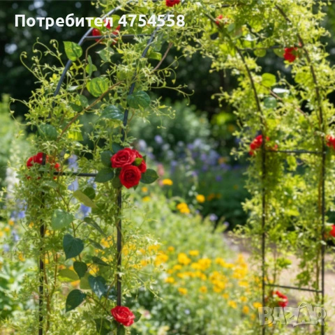 Многофункционална градинска пергола - естетика и стил във всяка градина и събитие , снимка 3 - Градински мебели, декорация  - 53869332