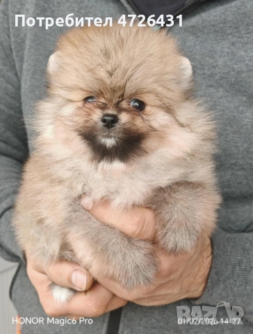 Продавамв Померани