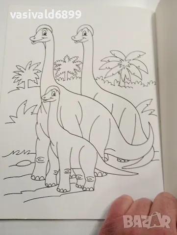 Книжка за оцветяване , снимка 6 - Детски книжки - 49254091